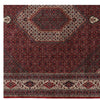 Fine Bidjar - 303cm x 260cm (10ft x 8-7ft) - Fine Persian Rugs - HANDMADE RUG COMPANY